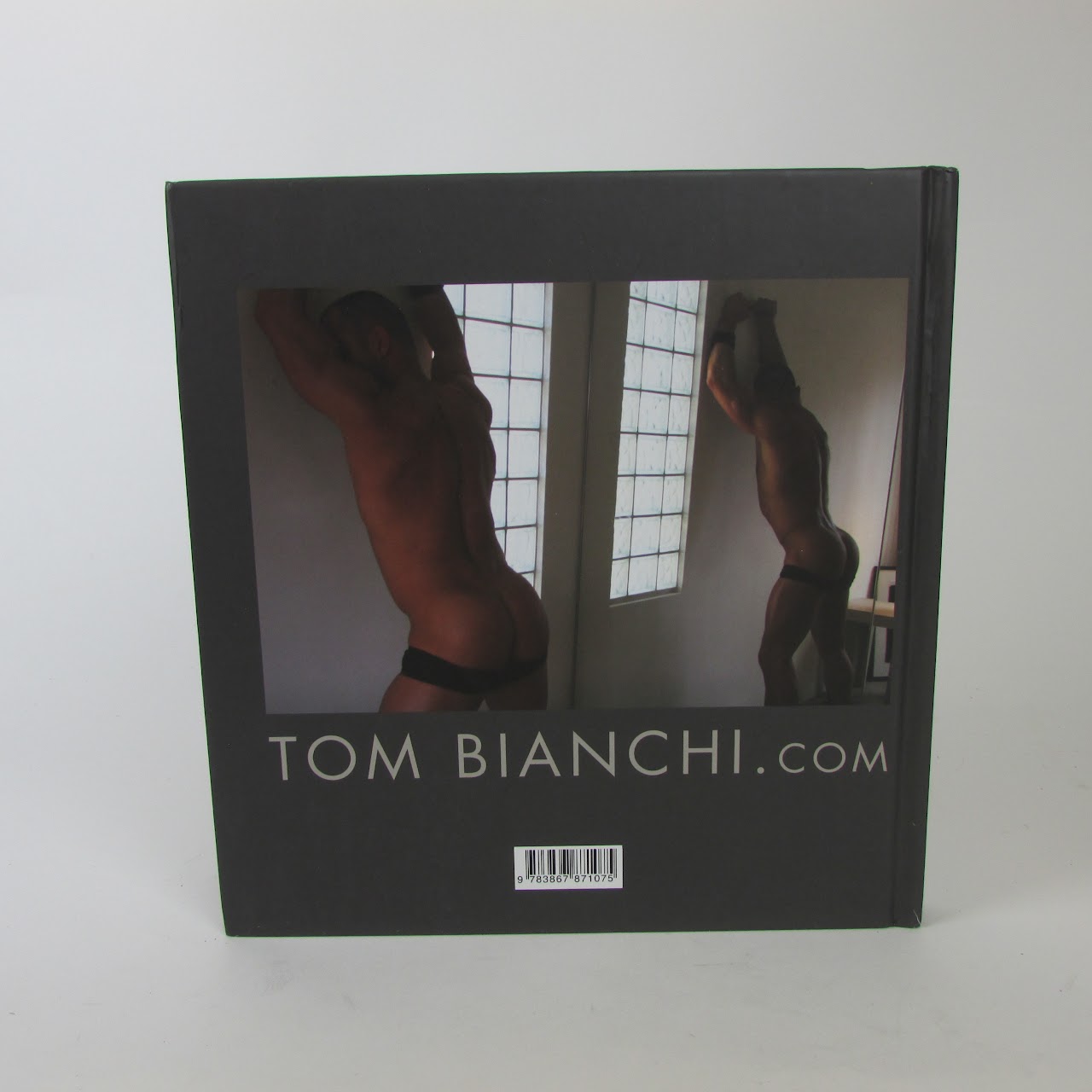 Tom Bianchi EXPLICIT/NSFW 'Fine Art Sex' Book