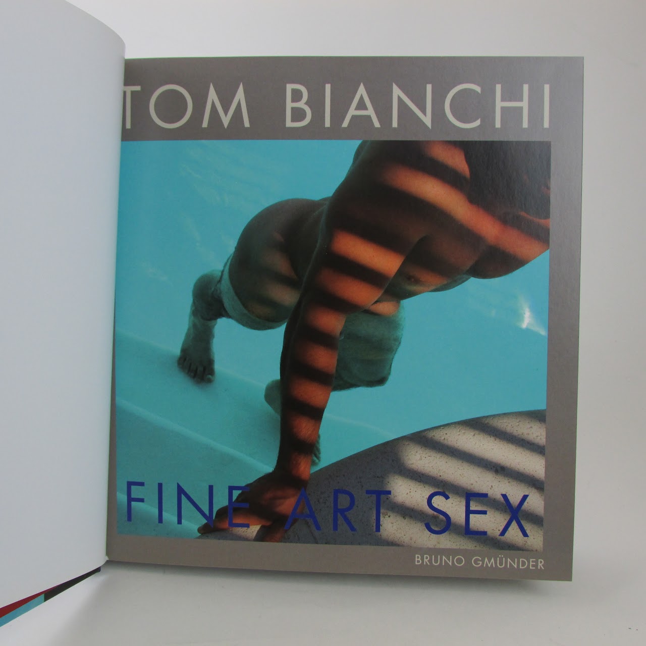 Tom Bianchi EXPLICIT/NSFW 'Fine Art Sex' Book