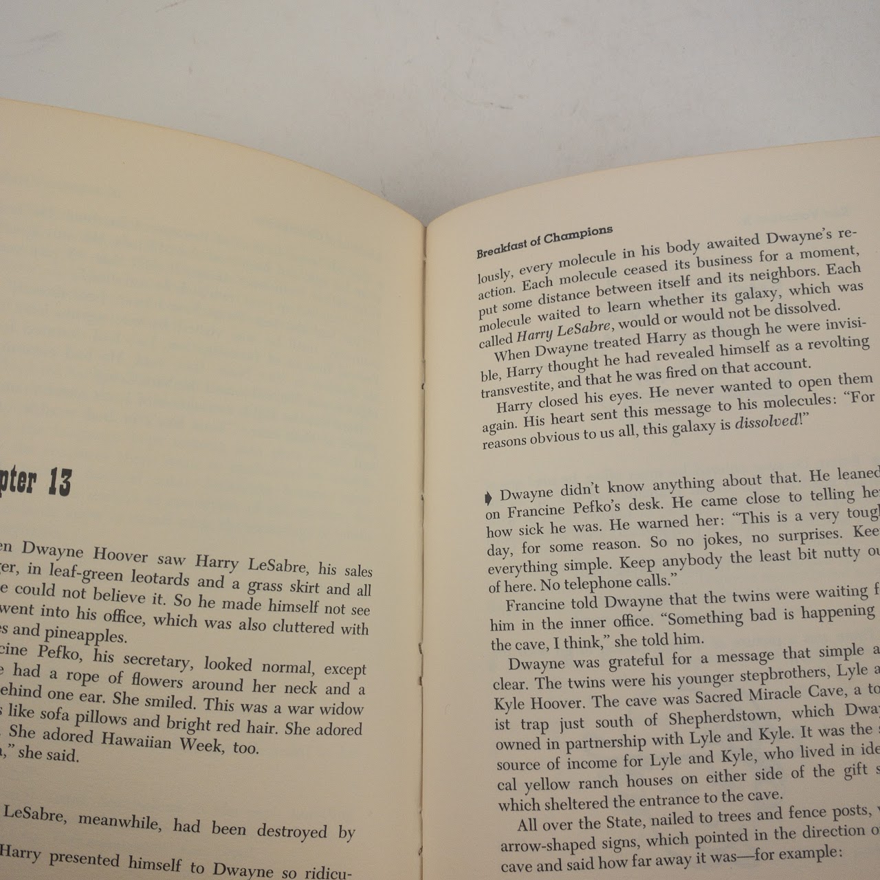 Kurt Vonnegut, Jr. 'Breakfast of Champions' First Edition, First Printing Book