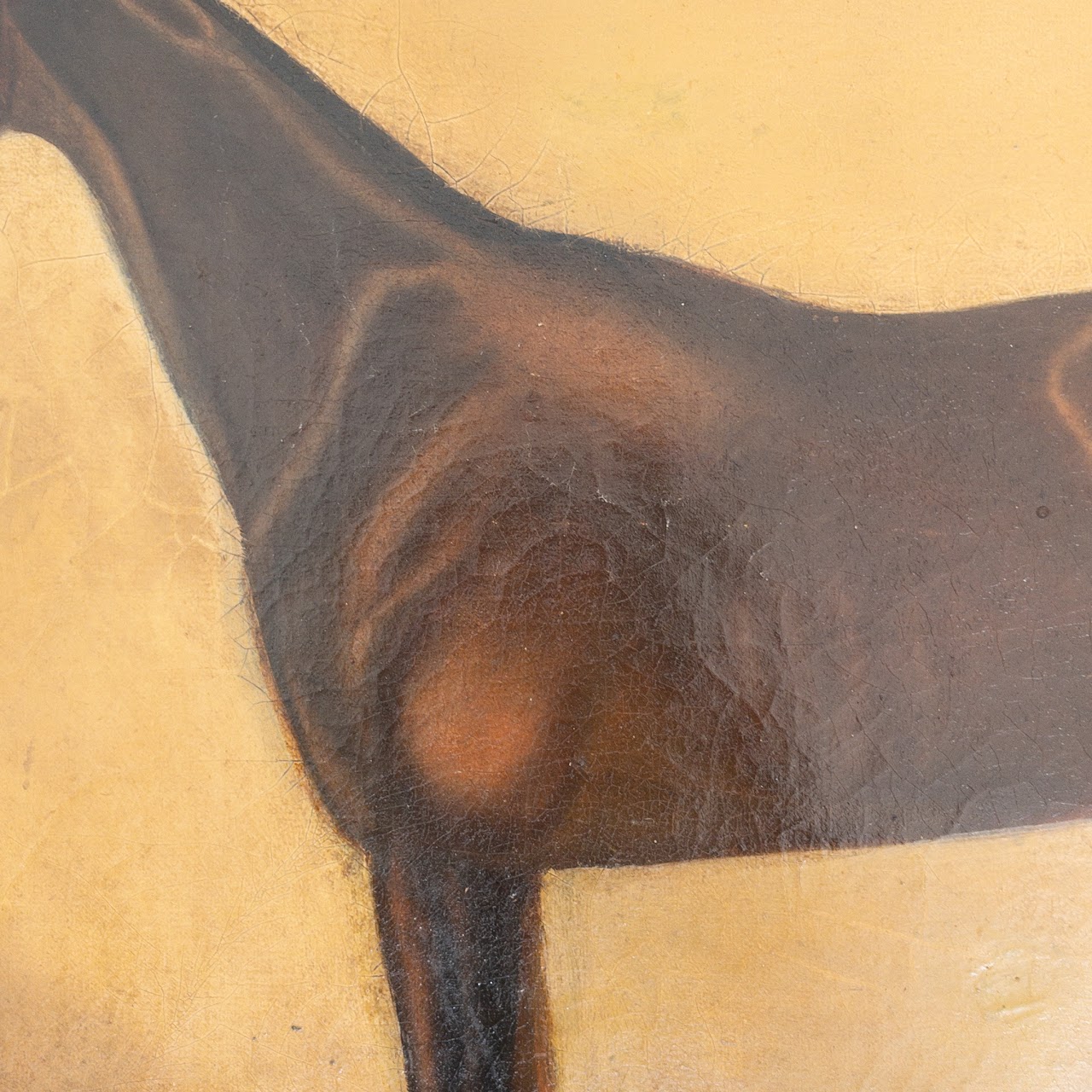 Equine Portrait Oil Painting