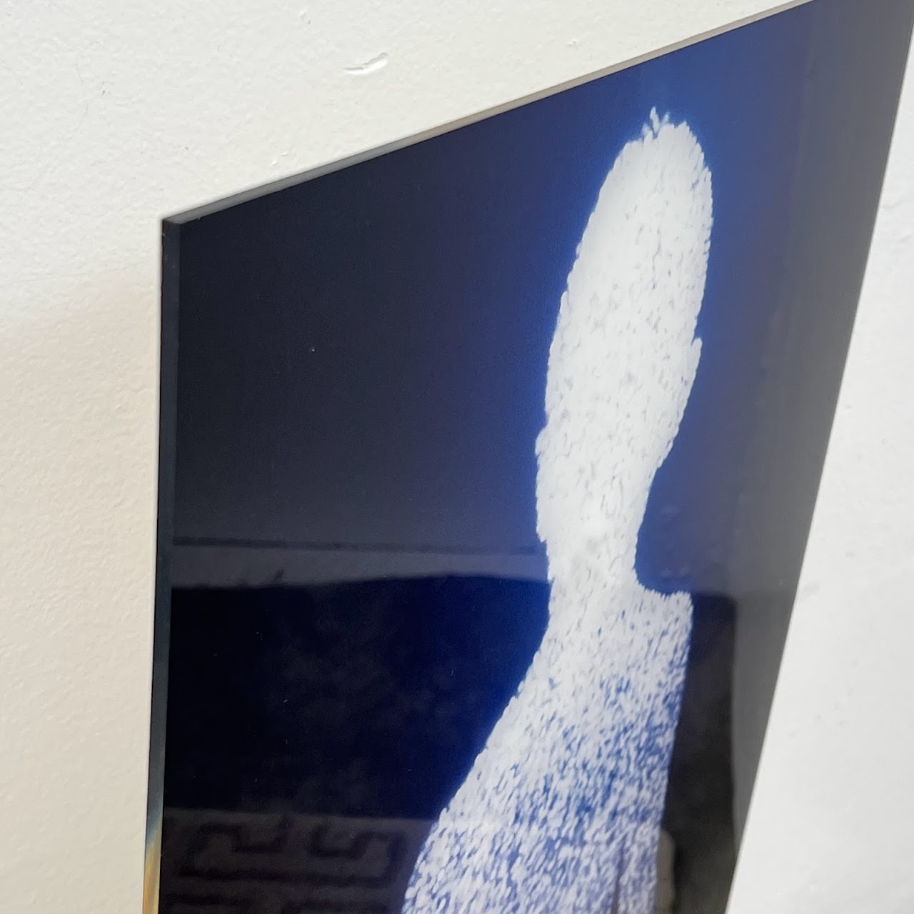 Christopher Bucklow 'Guest' Silver Dye Bleach Print Photograph