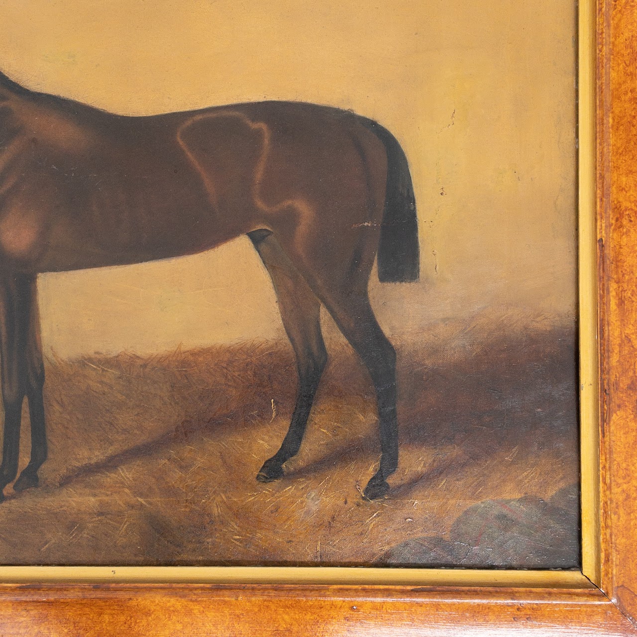 Equine Portrait Oil Painting