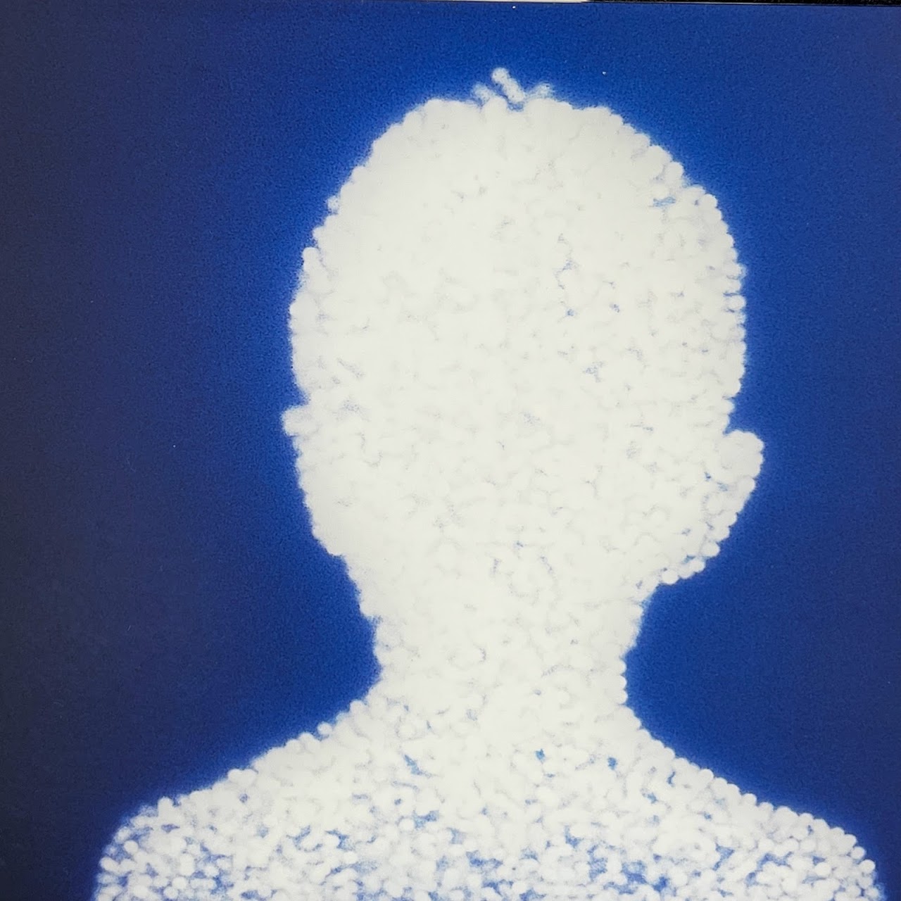 Christopher Bucklow 'Guest' Silver Dye Bleach Print Photograph