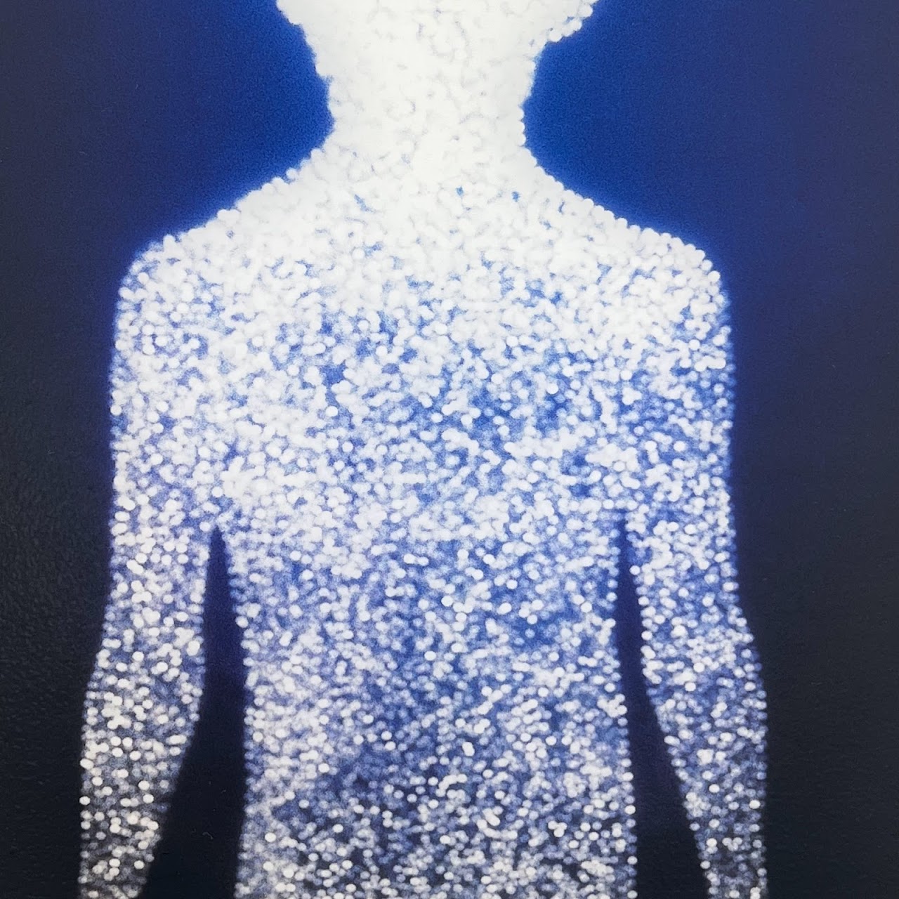 Christopher Bucklow 'Guest' Silver Dye Bleach Print Photograph