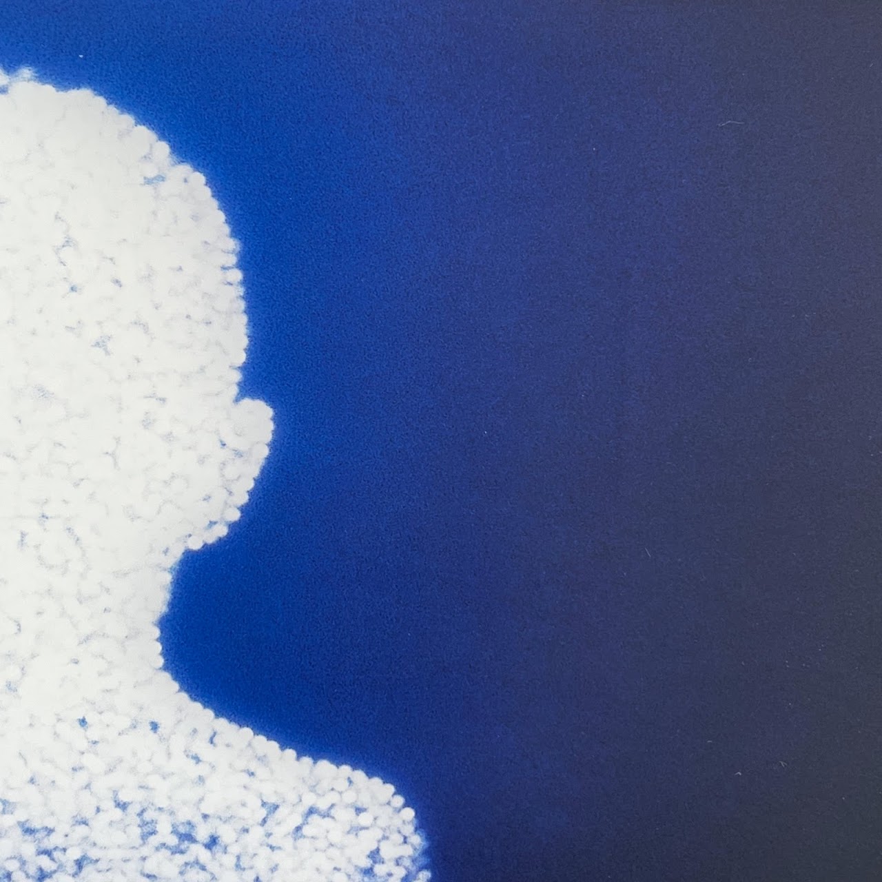 Christopher Bucklow 'Guest' Silver Dye Bleach Print Photograph