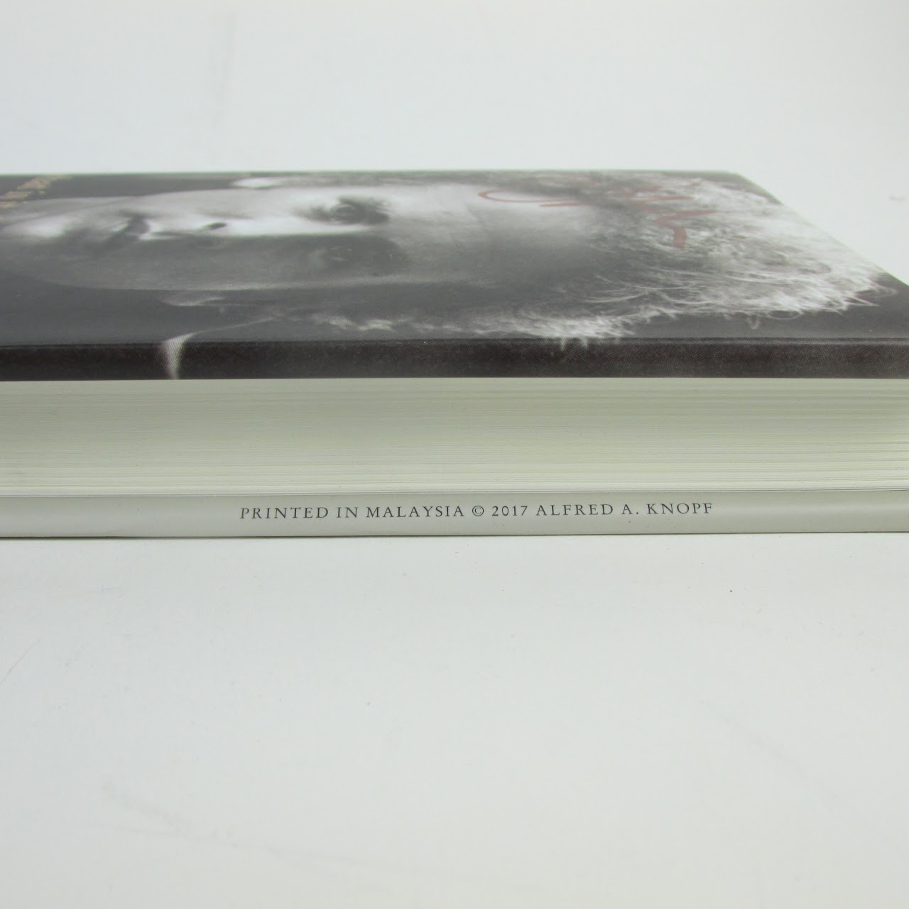 Art Garfunkel SIGNED 'What Is It All But Luminous' First Edition