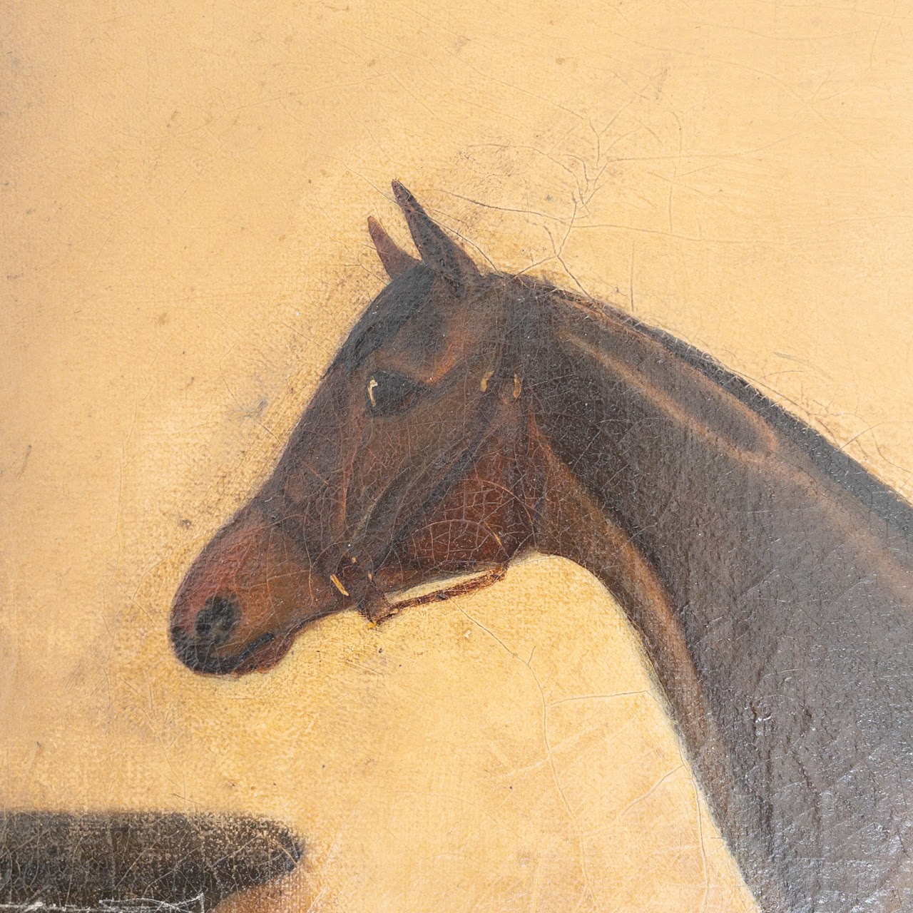 Equine Portrait Oil Painting