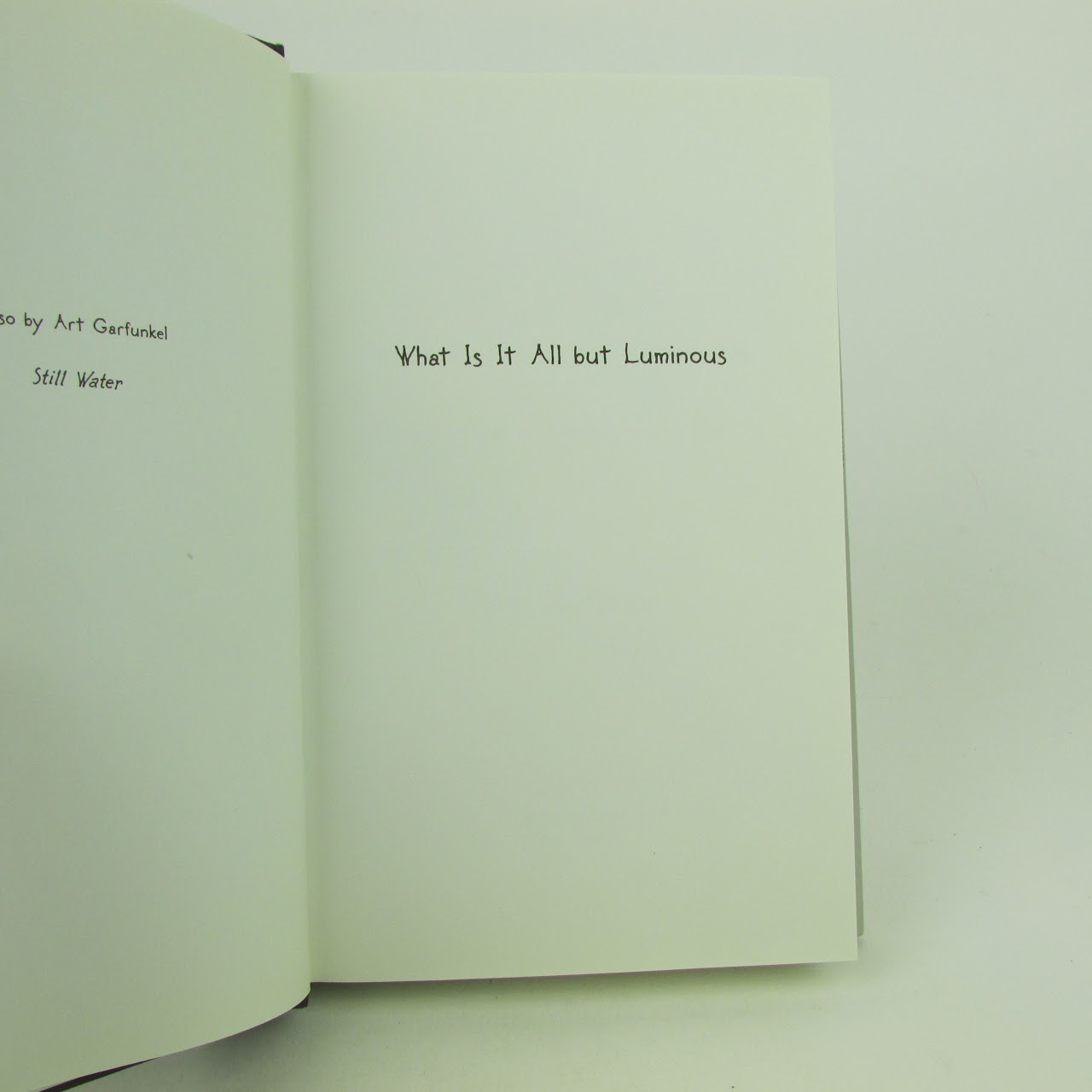 Art Garfunkel SIGNED 'What Is It All But Luminous' First Edition