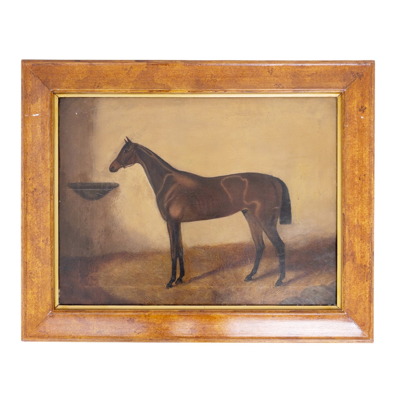 Equine Portrait Oil Painting