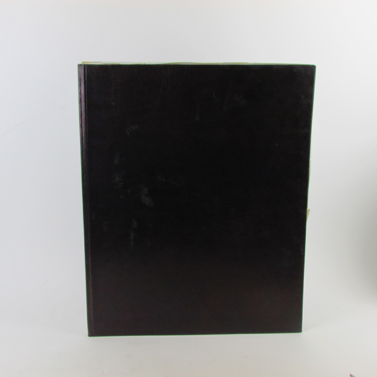 Adam Fuss: "Ark" Limited Edition Daguerreotype Book