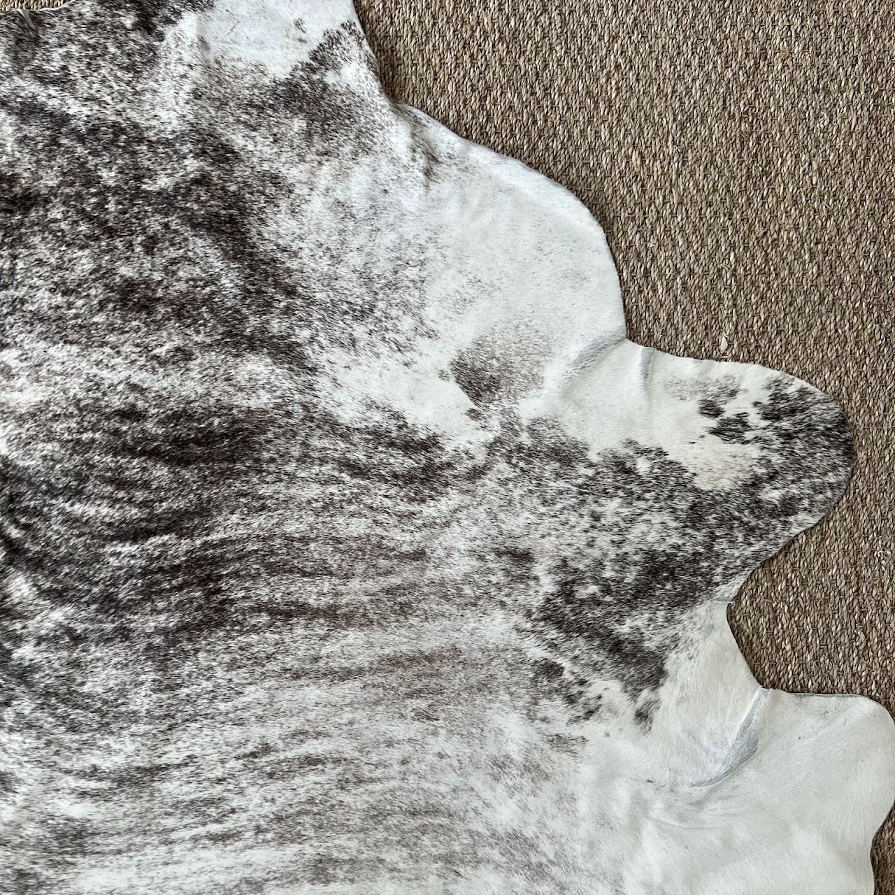 Forsyth Art Cowhide Area Rug