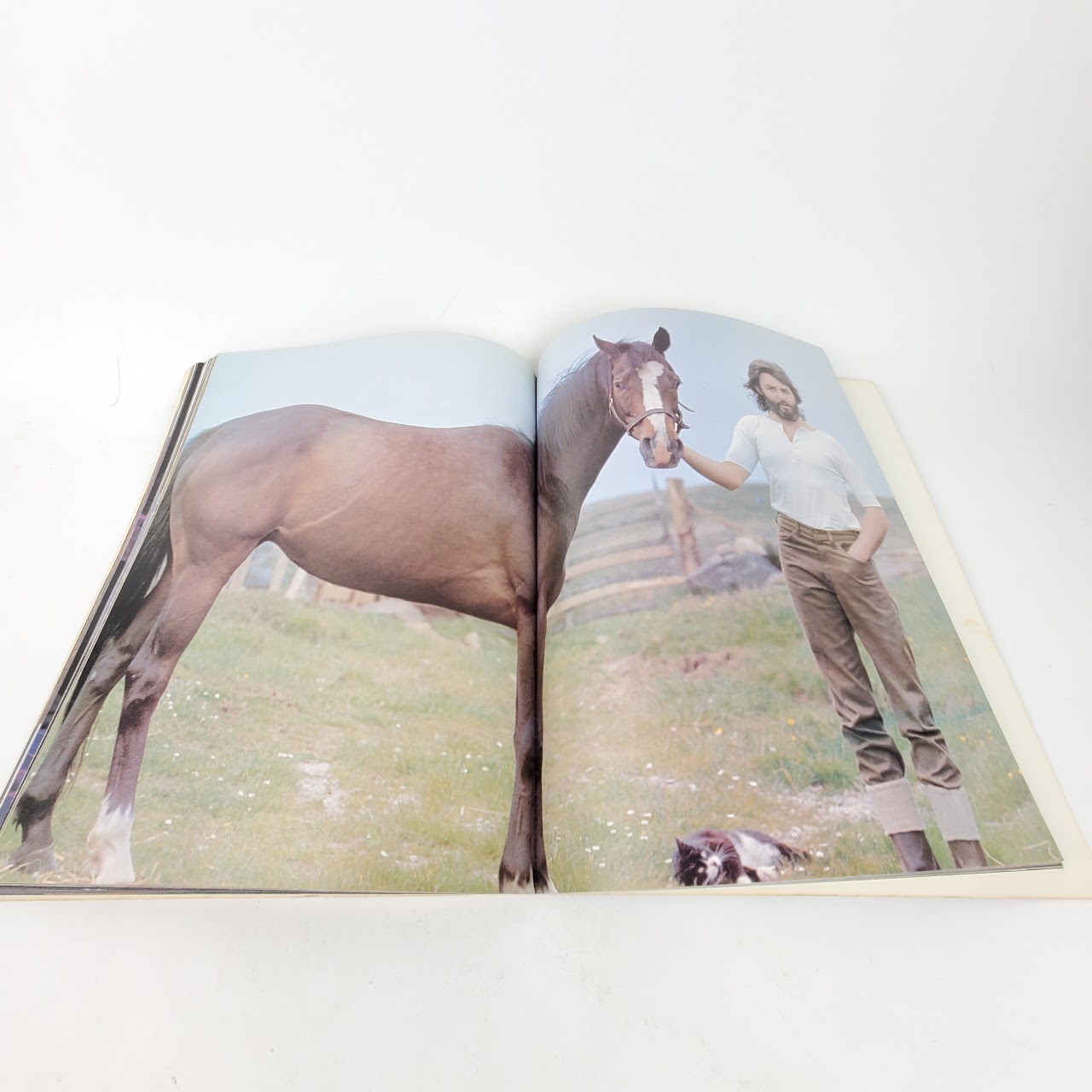 Linda McCartney 'Linda's Pictures' Book