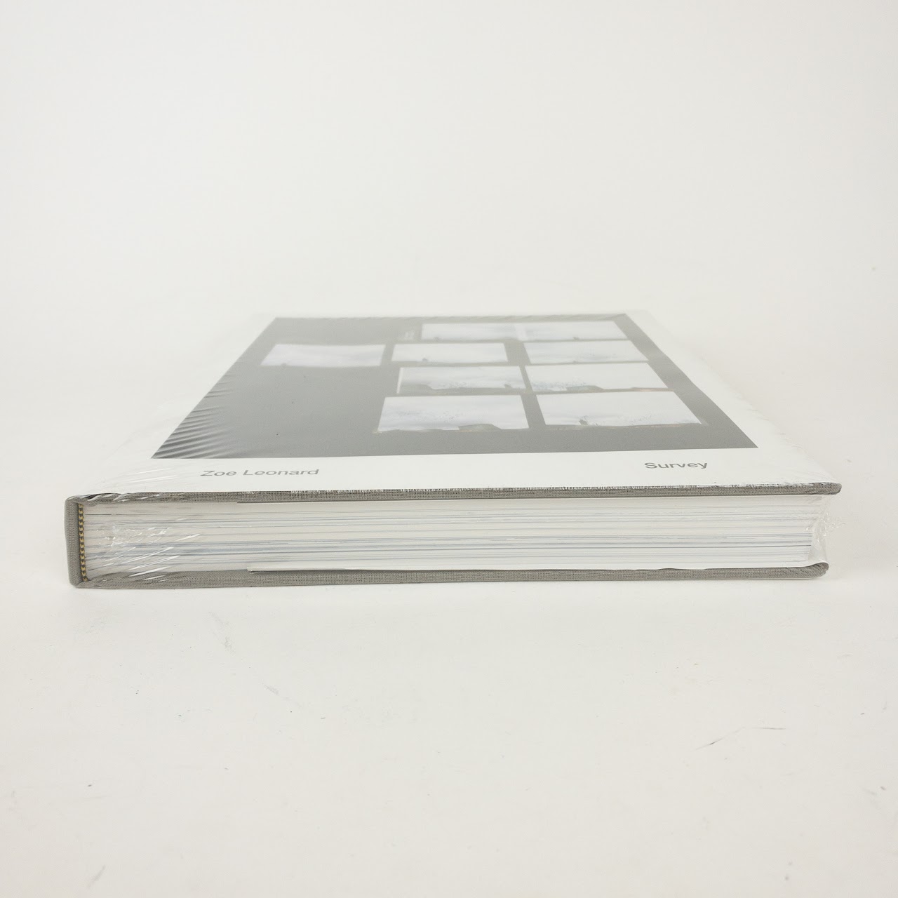 Zoe Leonard NEW 'Survey'  Book