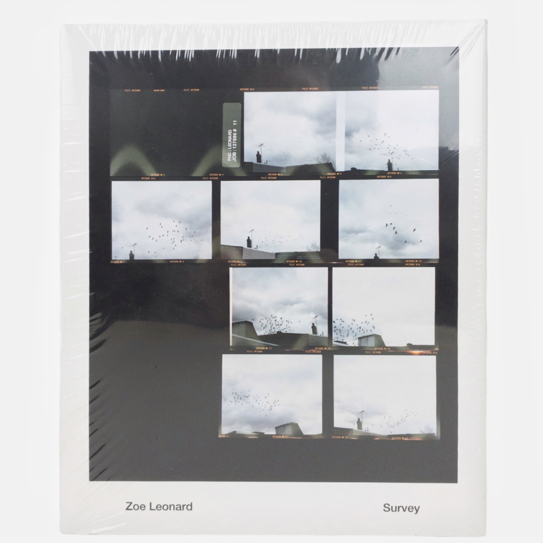 Zoe Leonard NEW 'Survey'  Book