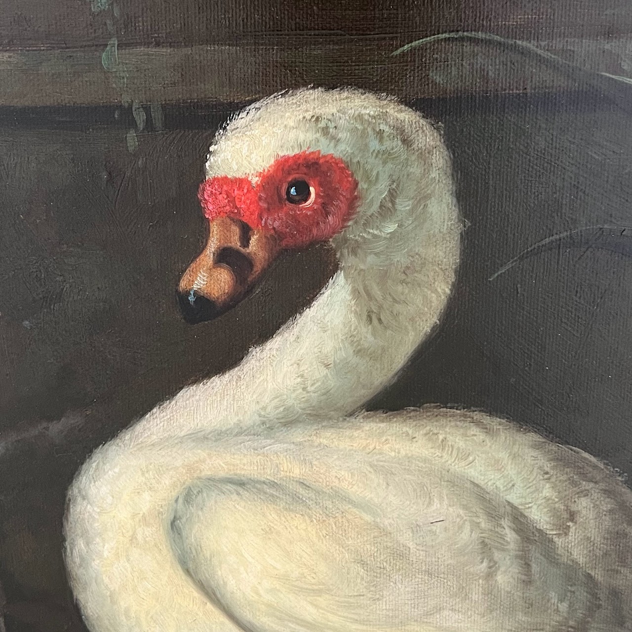 White Muscovy Duck and Ducklings Signed Oil Painting