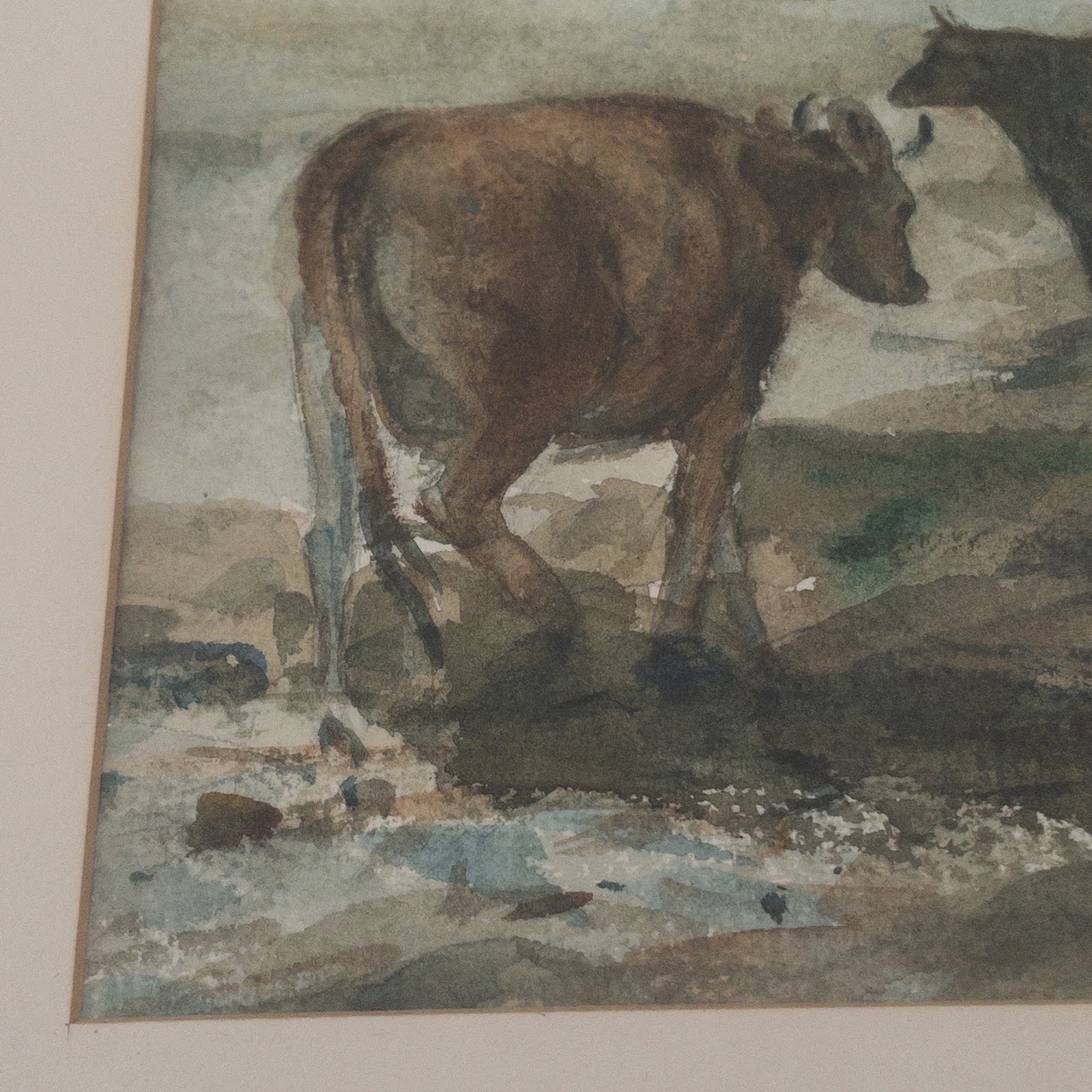 Betty Lou Schlemm 'Cow Study' Watercolor Painting