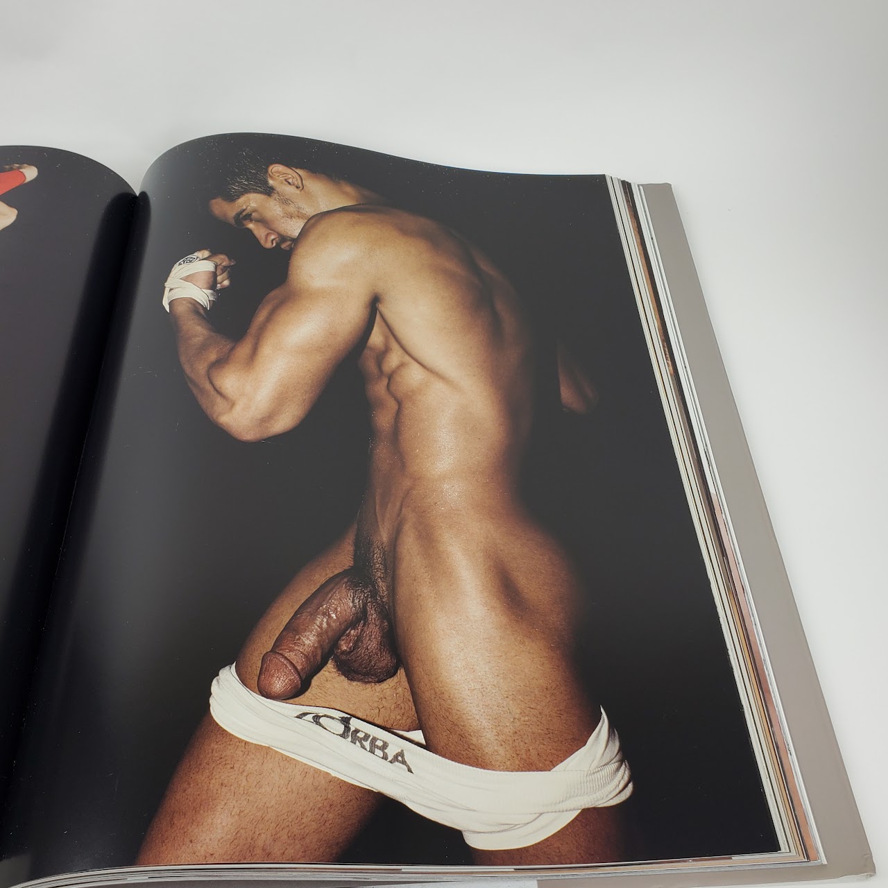 Rick Day 'Players Two' NSFW Book