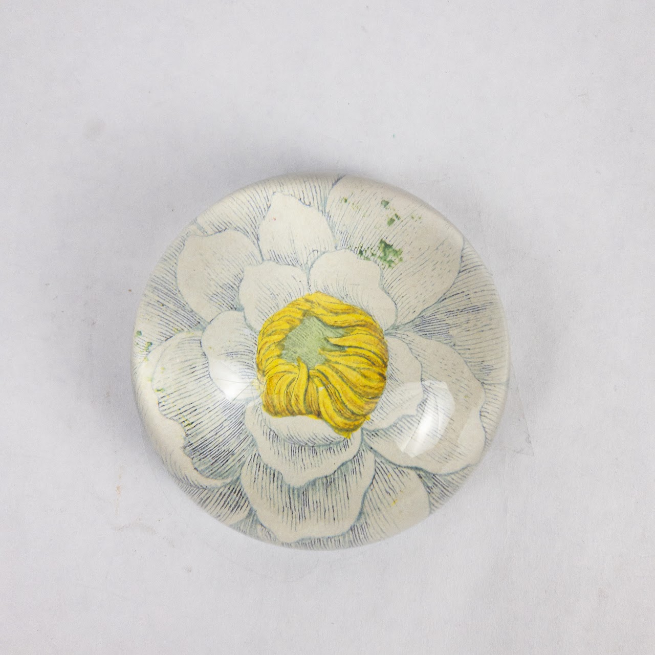 John Derian Water Lily Decoupage Paperweight