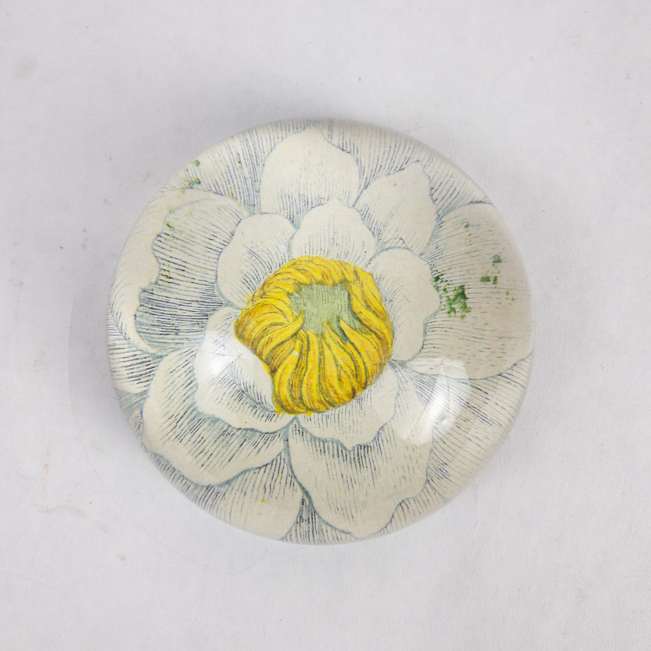 John Derian Water Lily Decoupage Paperweight