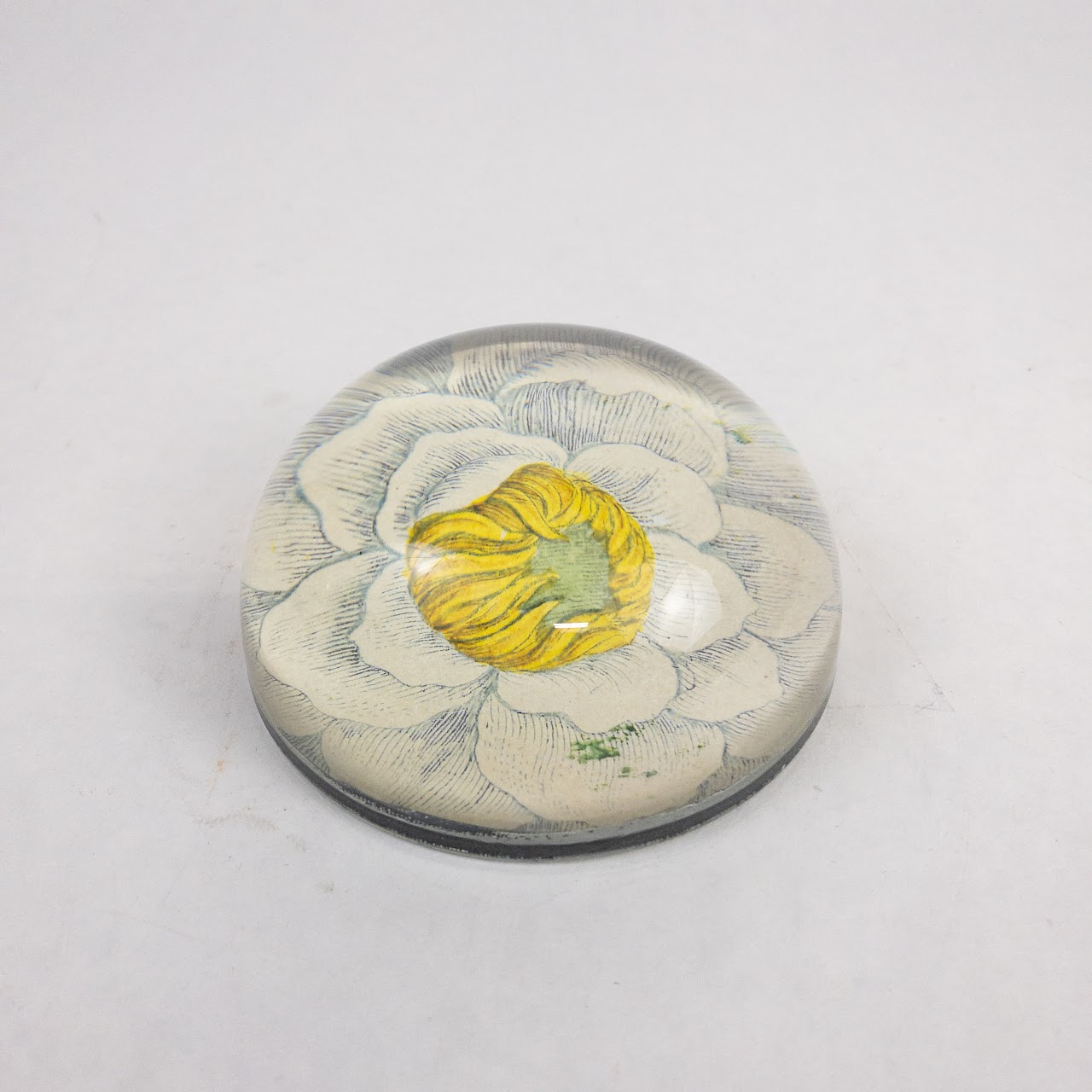 John Derian Water Lily Decoupage Paperweight