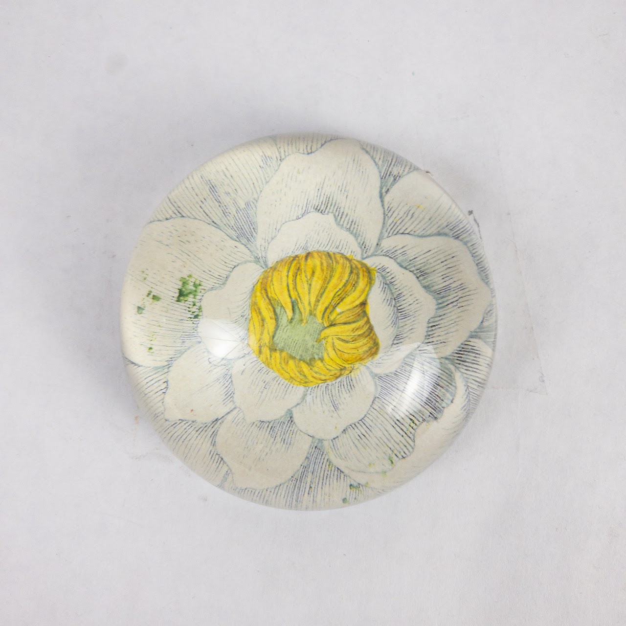 John Derian Water Lily Decoupage Paperweight