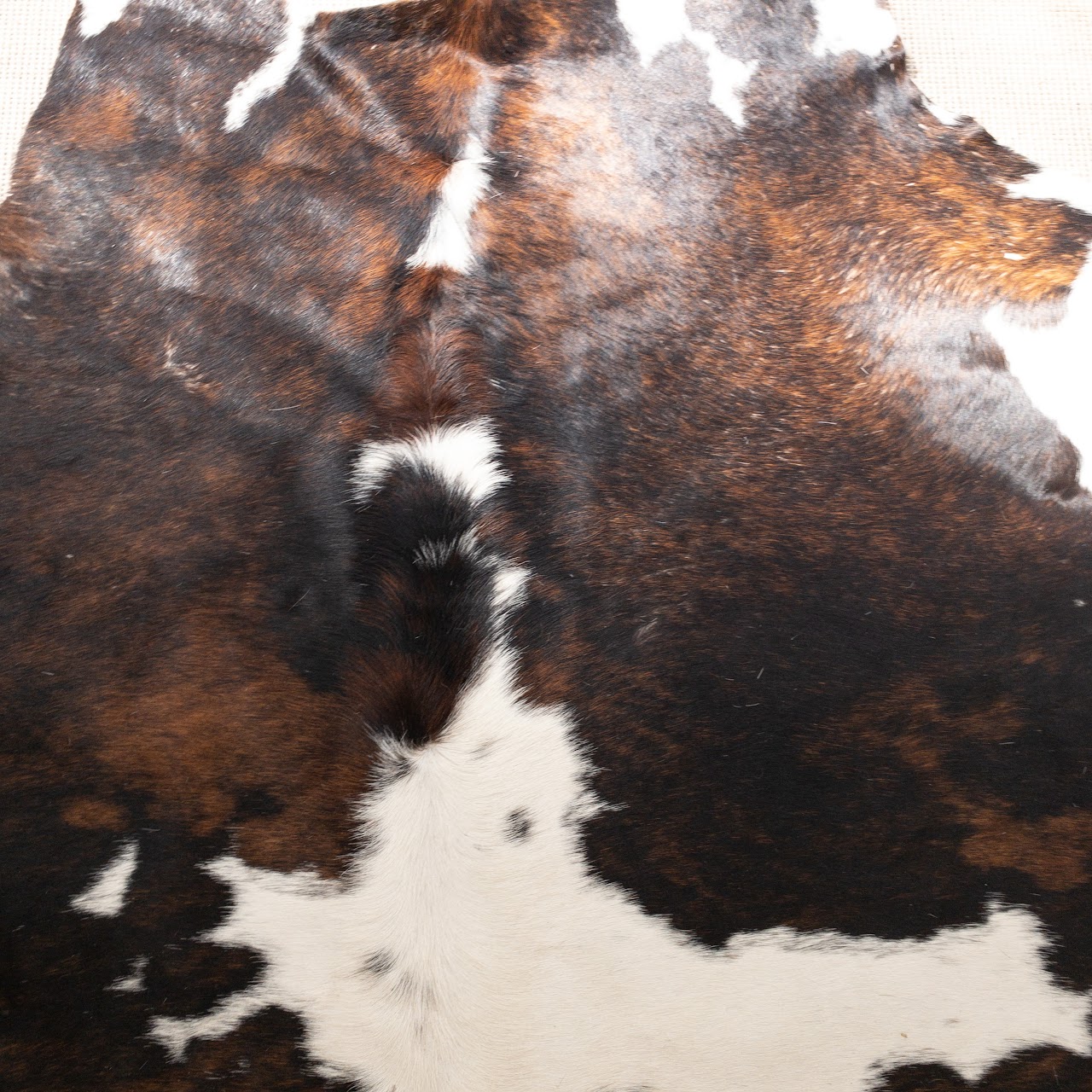 Cow Hide Rug