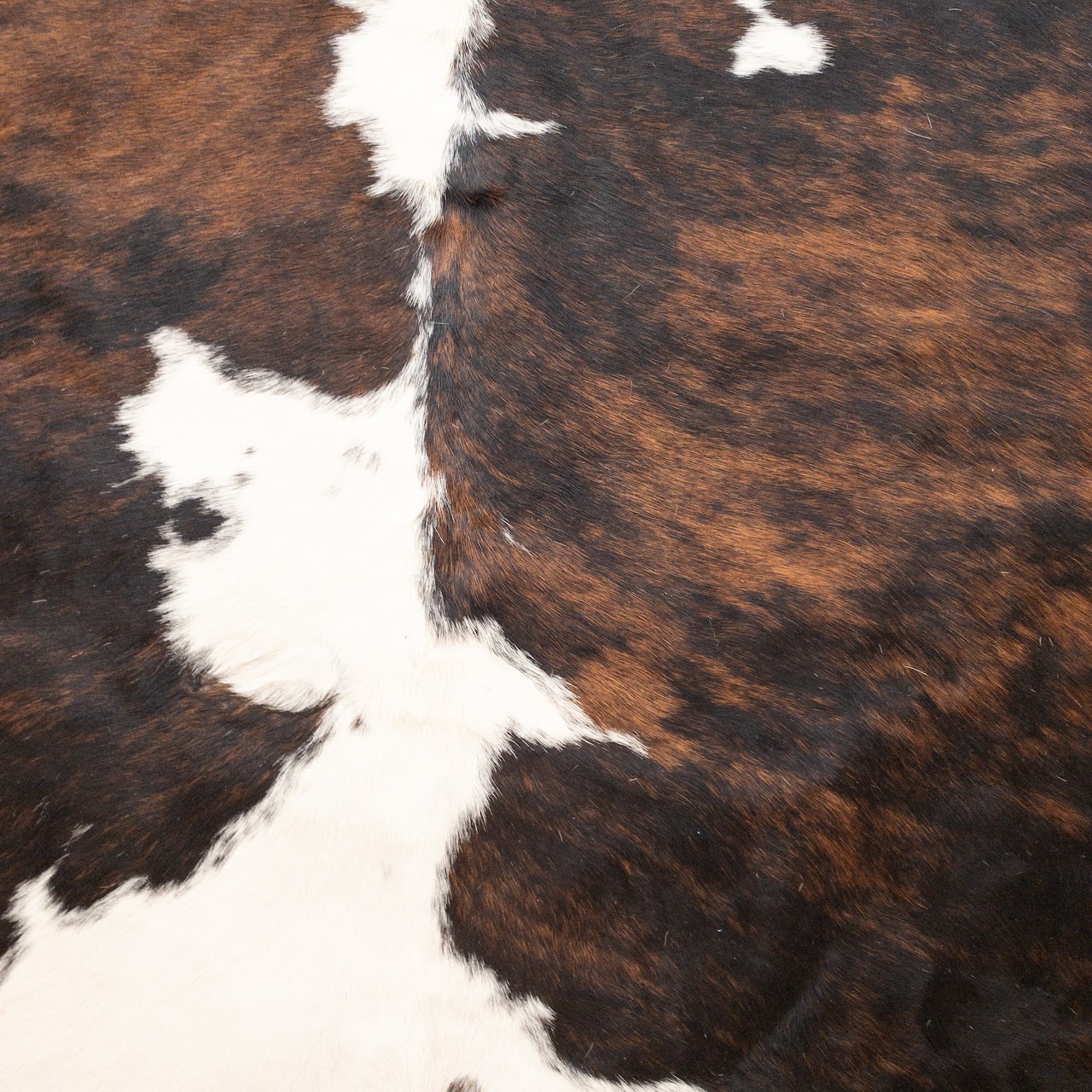 Cow Hide Rug