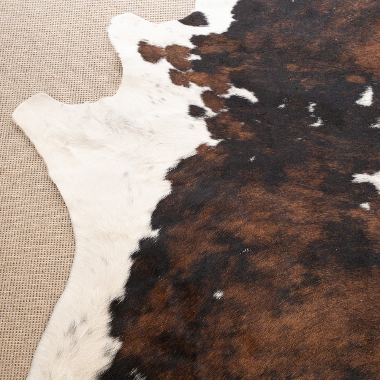 Cow Hide Rug