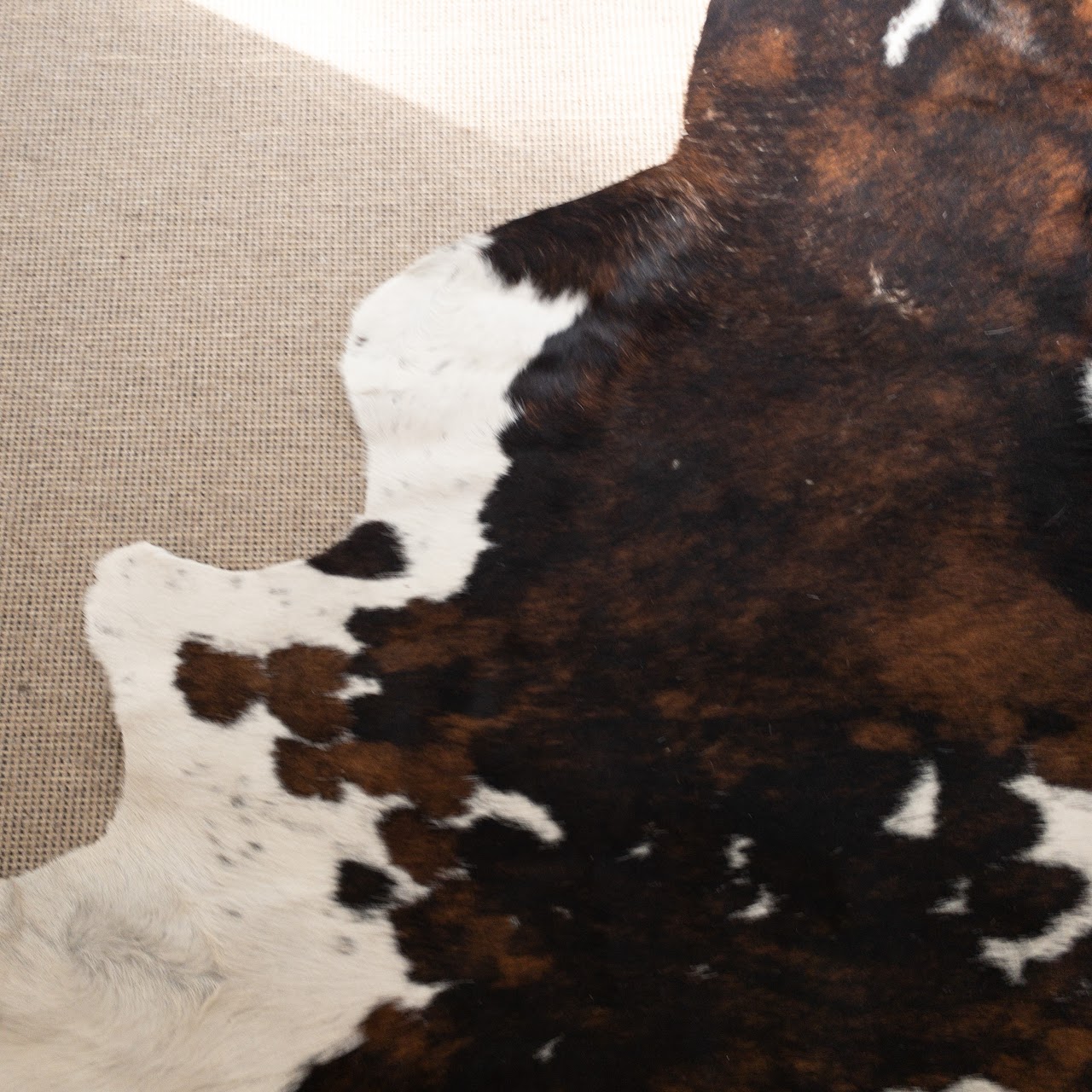 Cow Hide Rug