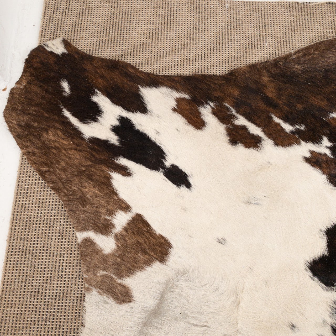 Cow Hide Rug