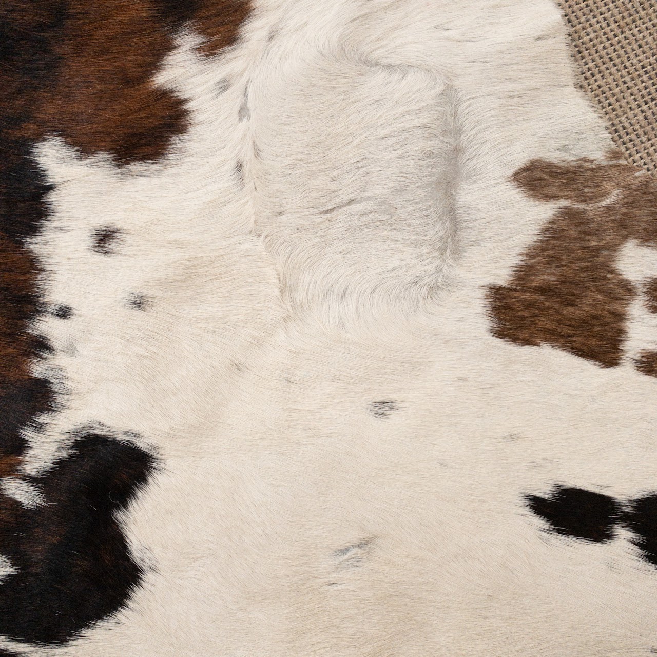 Cow Hide Rug