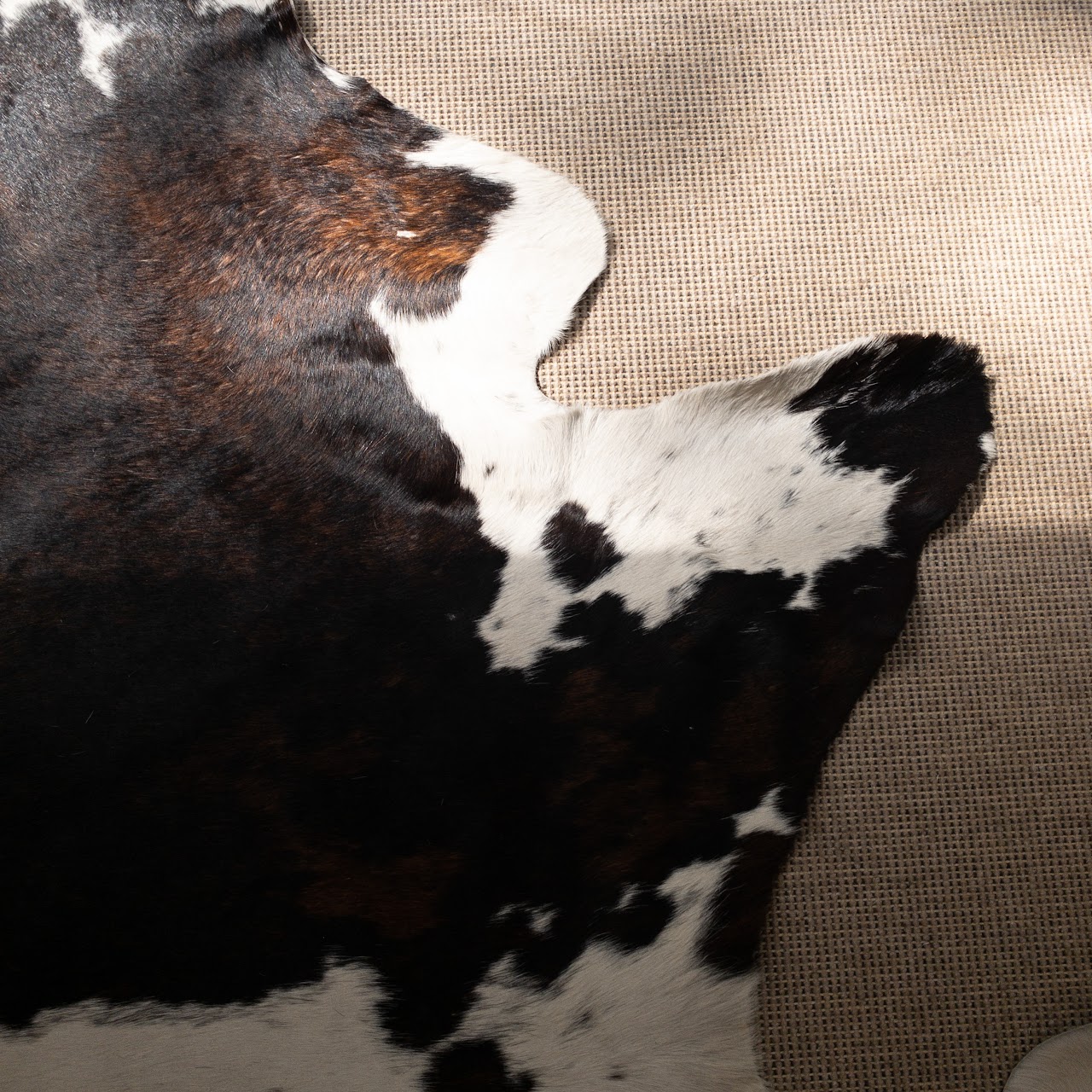 Cow Hide Rug