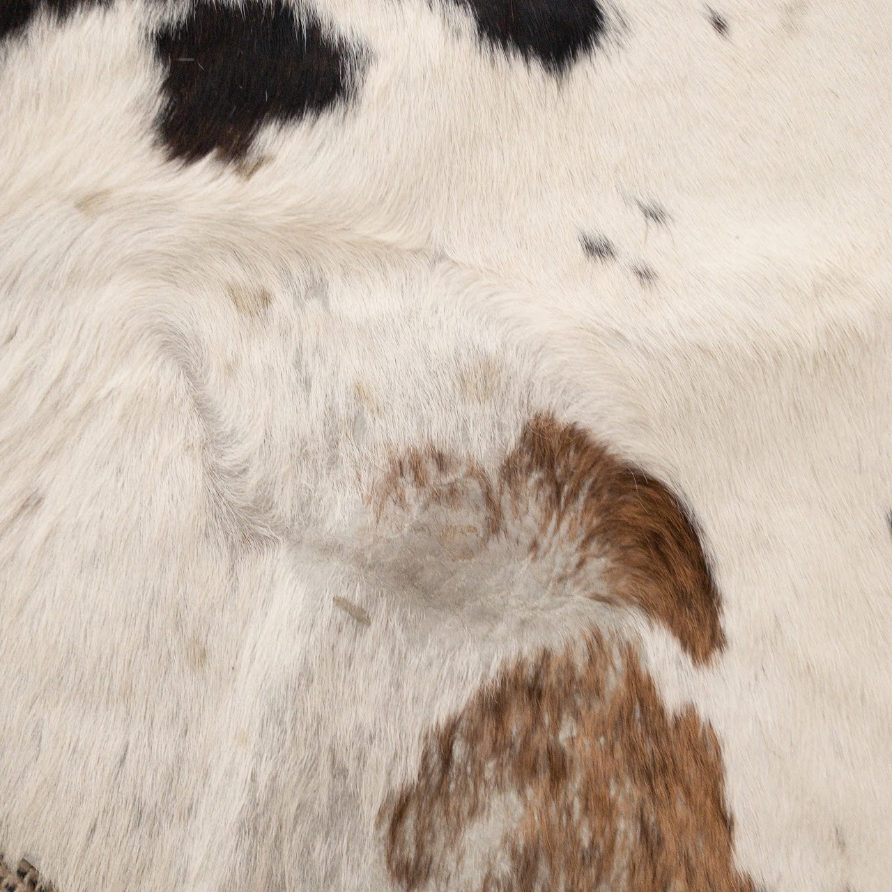 Cow Hide Rug