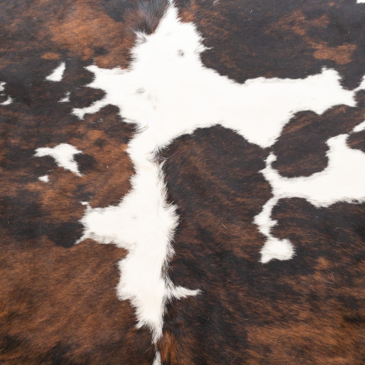 Cow Hide Rug