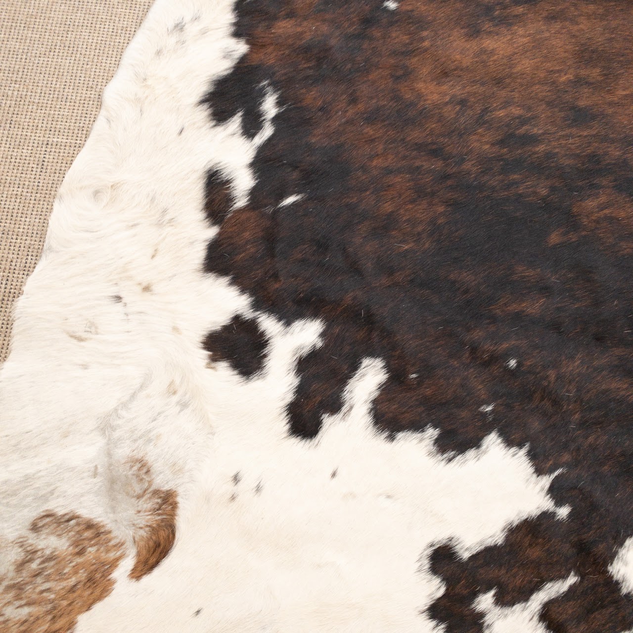 Cow Hide Rug