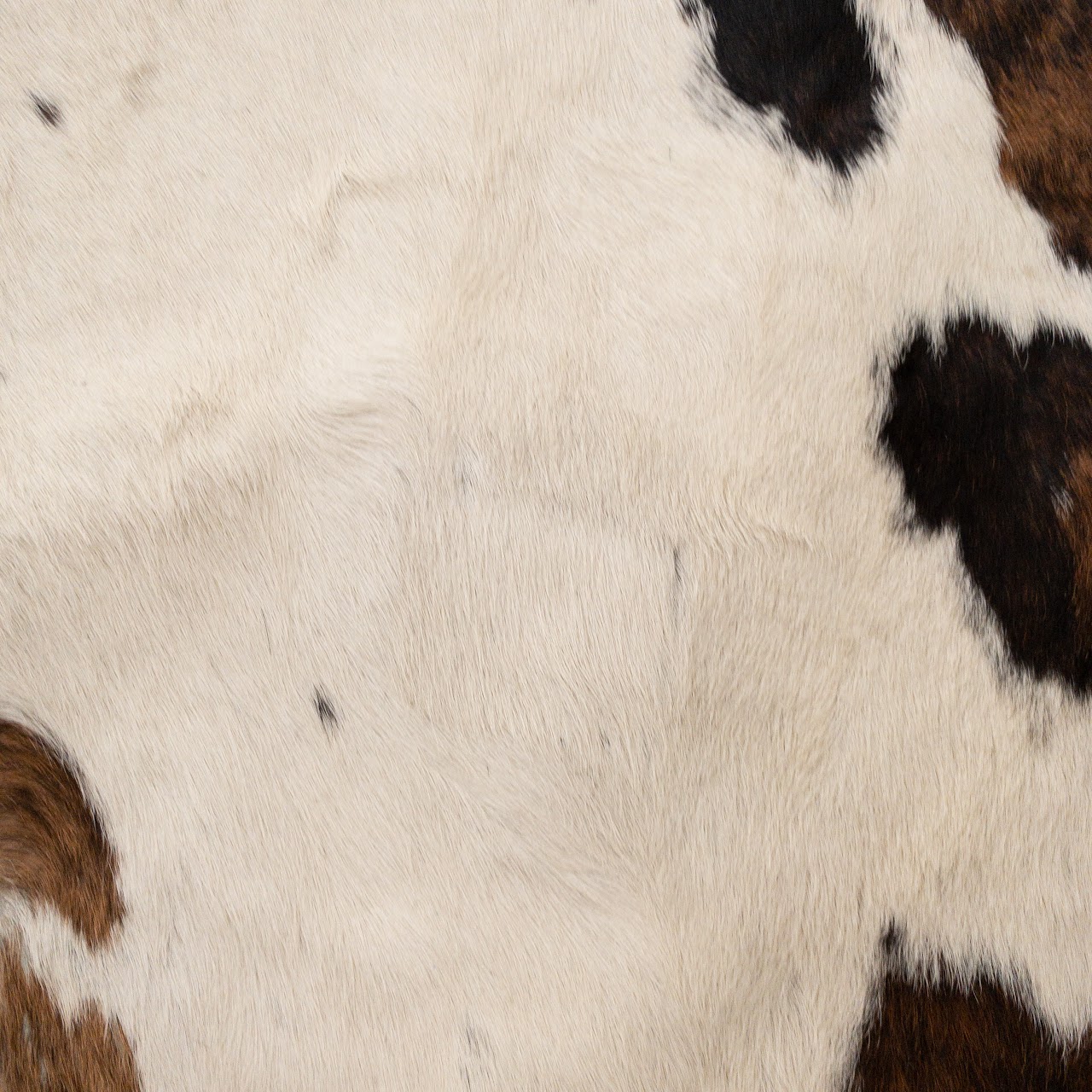 Cow Hide Rug