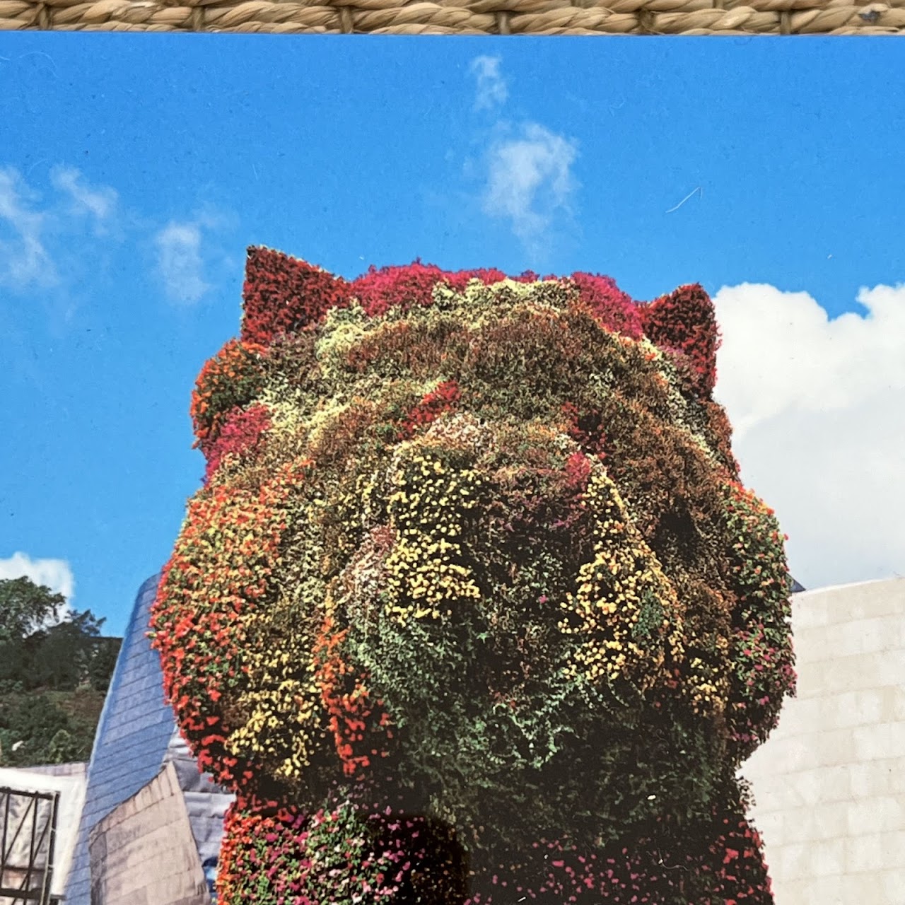 Guggenheim Bilbao Panoramic and Jeff Koons 'Puppy' Tako Photograph Block Pair