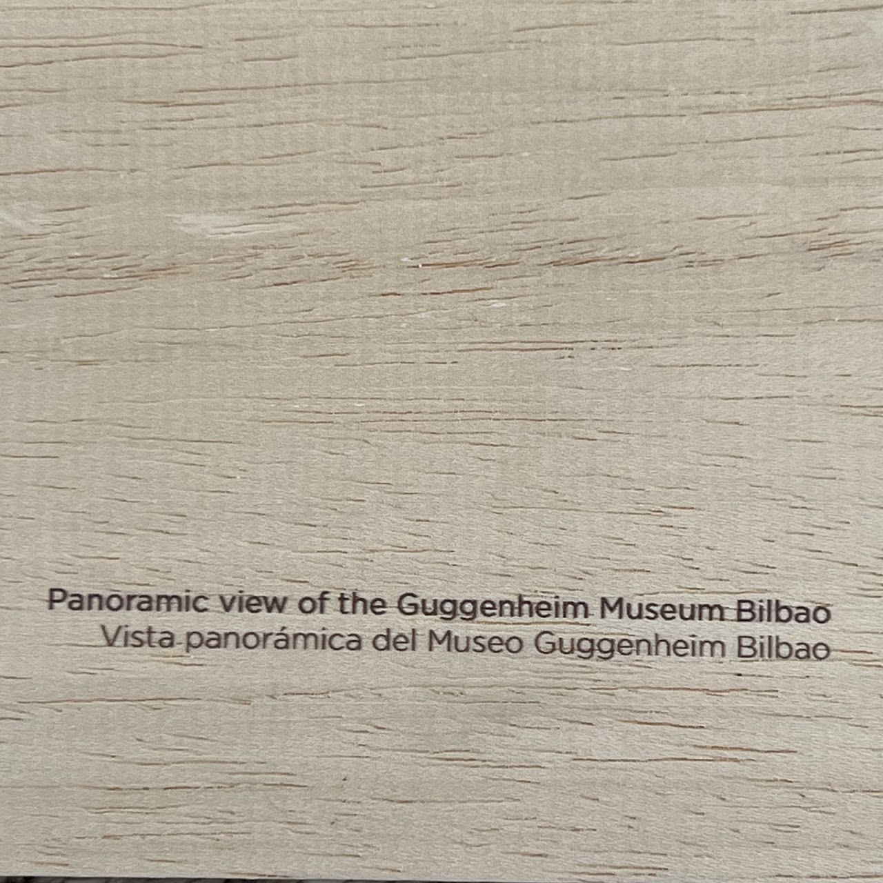 Guggenheim Bilbao Panoramic and Jeff Koons 'Puppy' Tako Photograph Block Pair