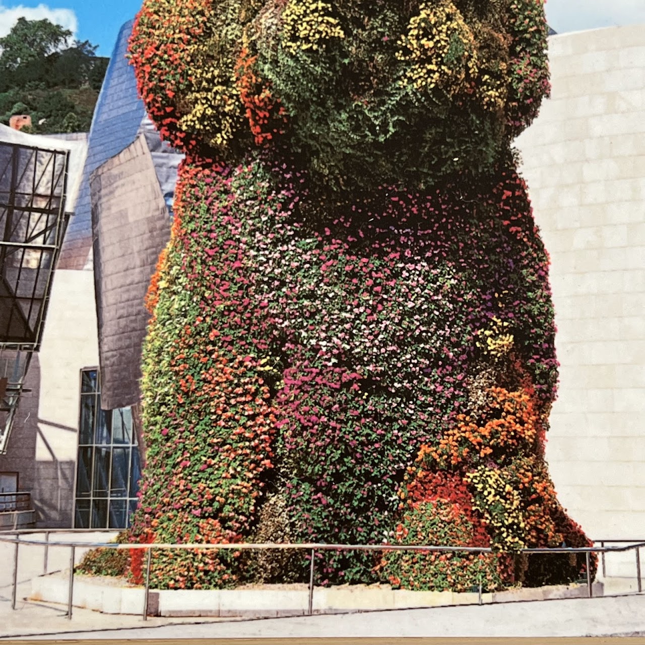 Guggenheim Bilbao Panoramic and Jeff Koons 'Puppy' Tako Photograph Block Pair