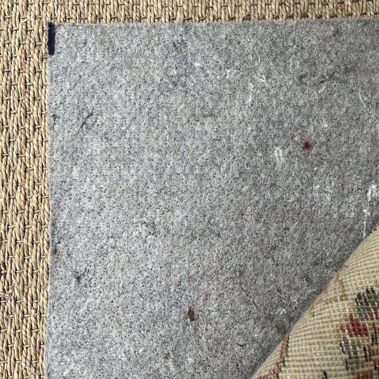 Wool Floral Area Rug