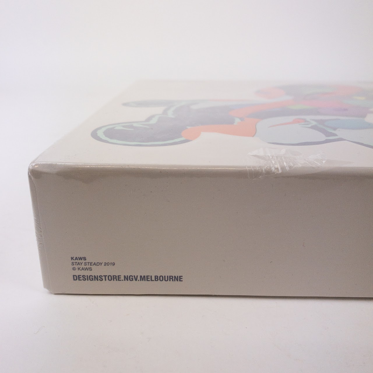 KAWS NVG 'StaySteady' NEW 1000 Piece Jigsaw Puzzle