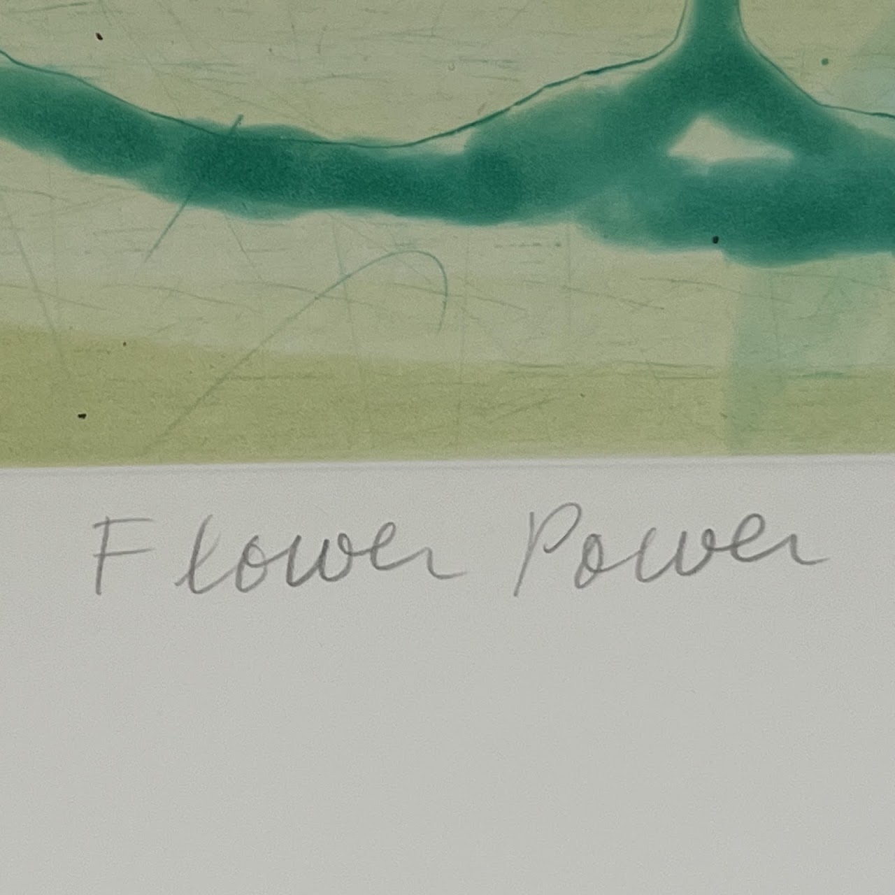 Janis Provisor 'Flower Power' Signed Aquatint, Chine Collé and Collage, 2014