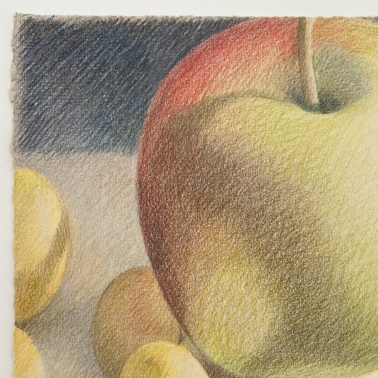 Gretchen Mayo 'Shared Lives XVI' Signed Still Life Colored Pencil Drawing