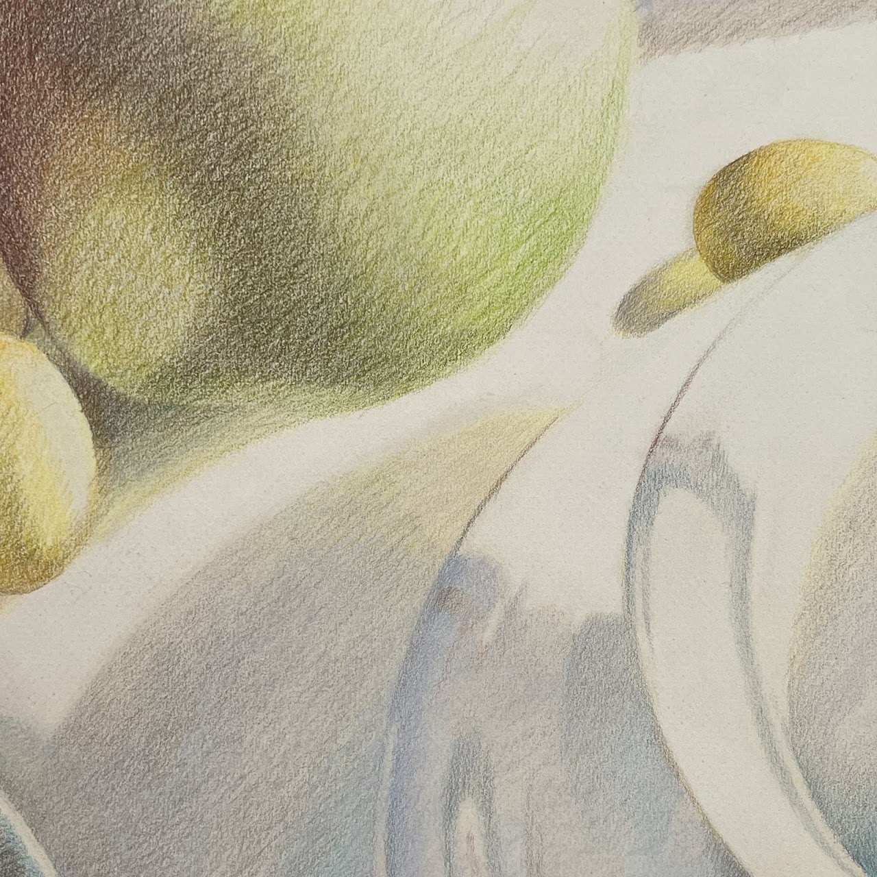 Gretchen Mayo 'Shared Lives XVI' Signed Still Life Colored Pencil Drawing