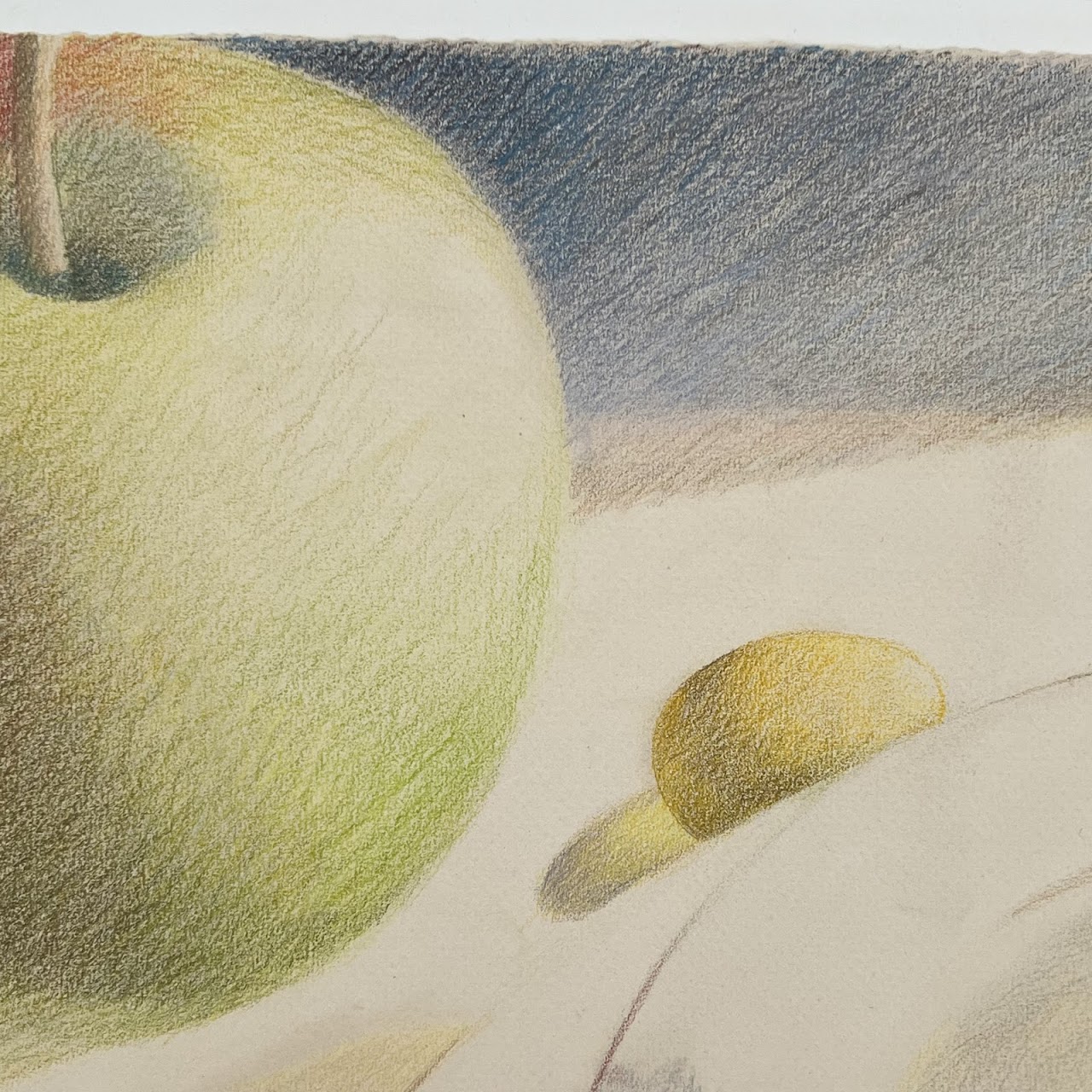 Gretchen Mayo 'Shared Lives XVI' Signed Still Life Colored Pencil Drawing