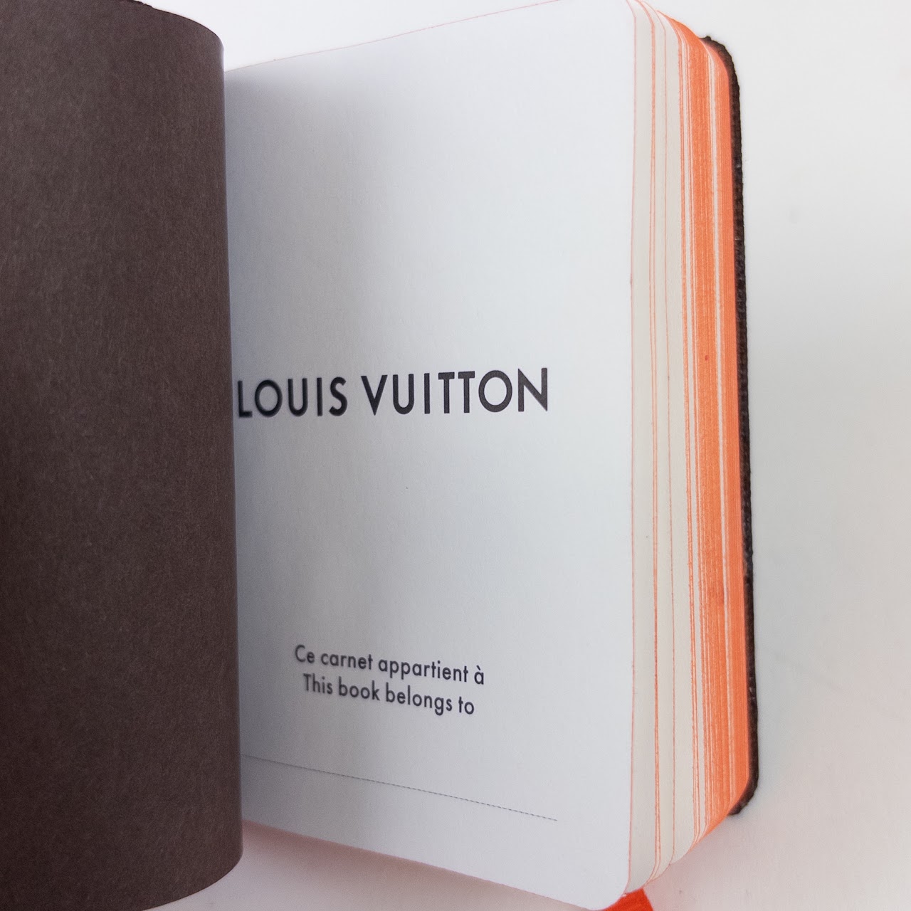 Louis Vuitton Monogram Mini Notebook