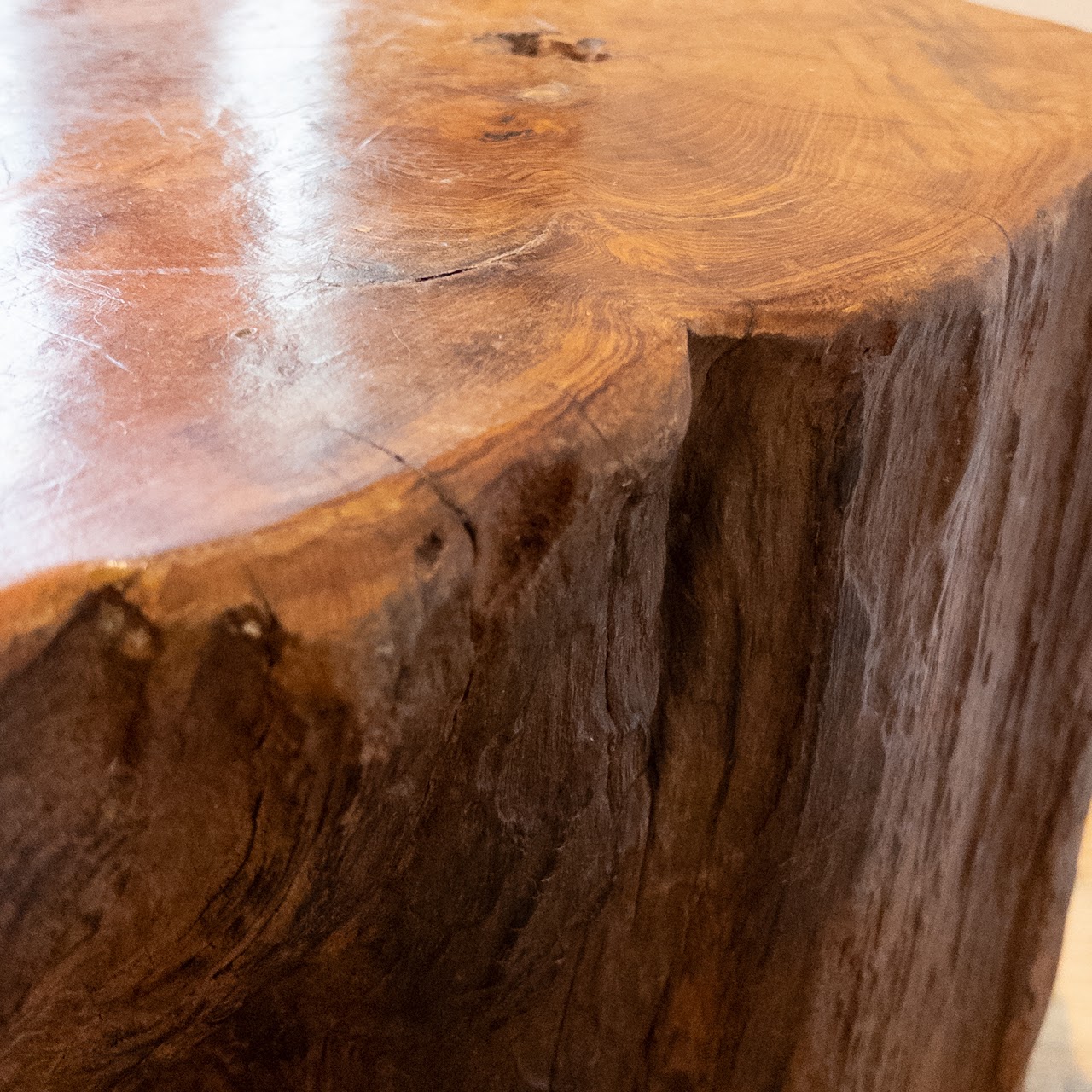 Live Edge Stump Pedestal Coffee Table