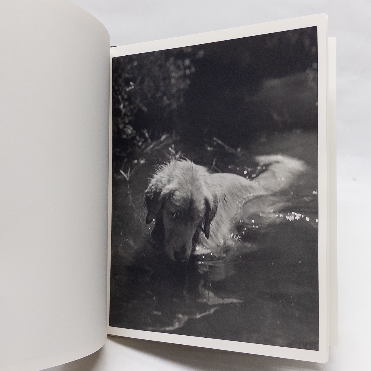 Bruce Weber 'Bear Pond' First Edition Monograph