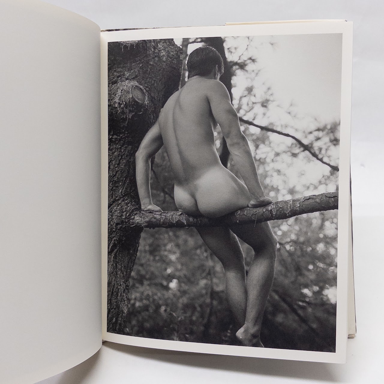 Bruce Weber 'Bear Pond' First Edition Monograph