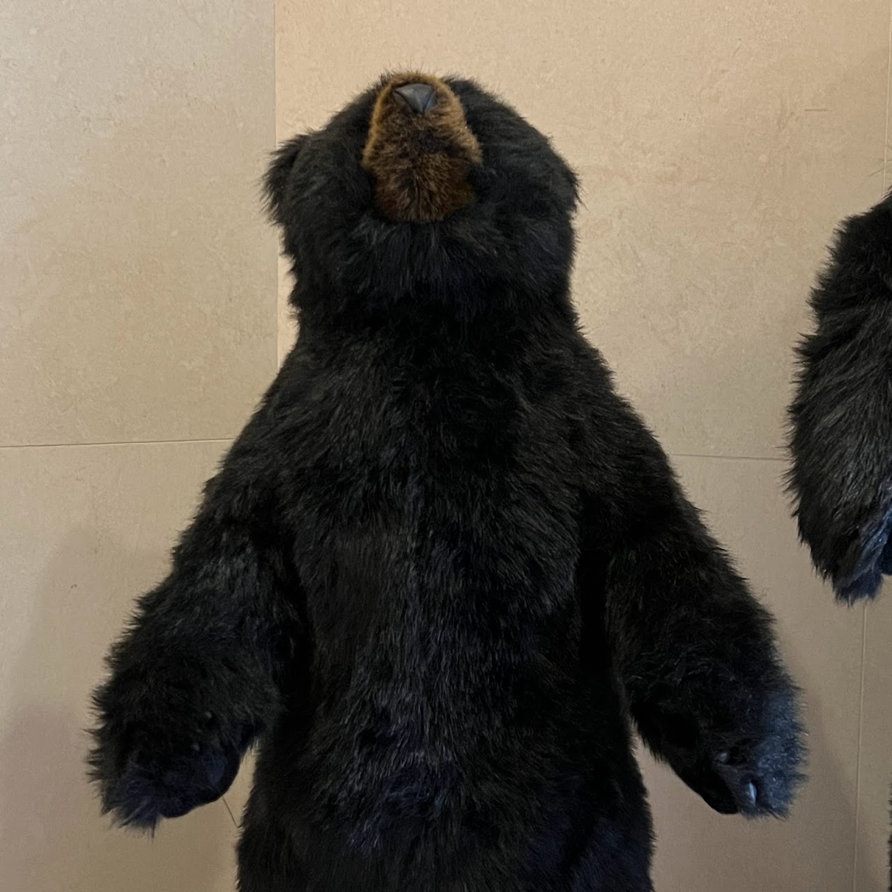 Ditz Designs Life Size Standing Black Bear Trio